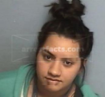 Darelis Nicole Castro Santiago