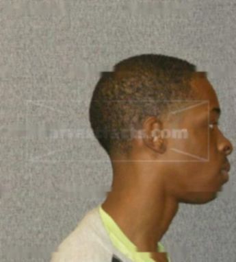Darnell L Young