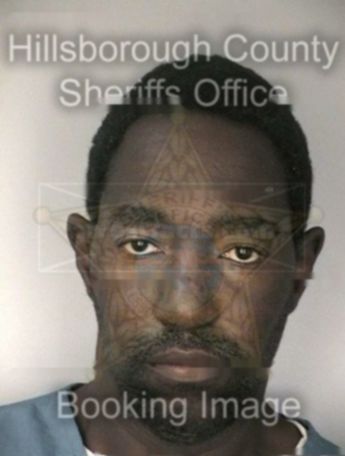 Michael L Clark