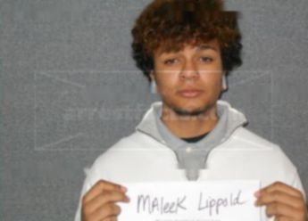 Maleek A Lippold