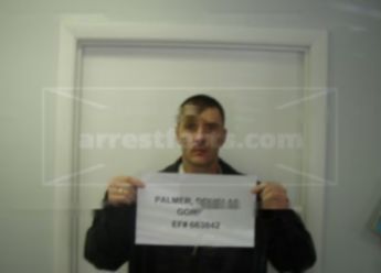 Douglas Gordon Palmer