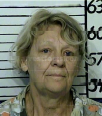 Sylvia Ann Brink-Warnock