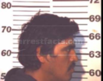 Javier Hernandez Ibarra