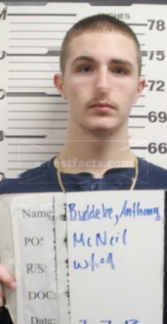 Anthony J Buddeke