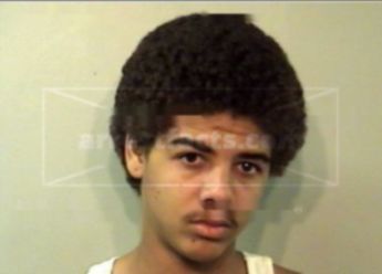 Shawn A Williamson