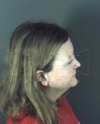 Ann Vinson Gessner