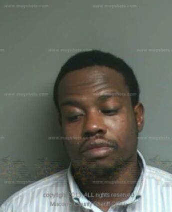 Travis Maurice Steward