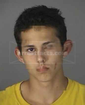 Brandon Matthew Walsh