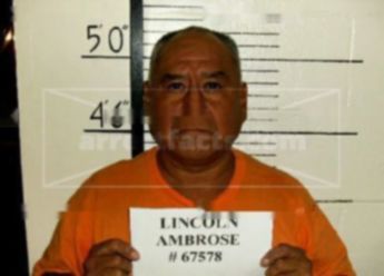 Ambrose Emerson Lincoln