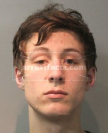 Vincent Louis Stolese