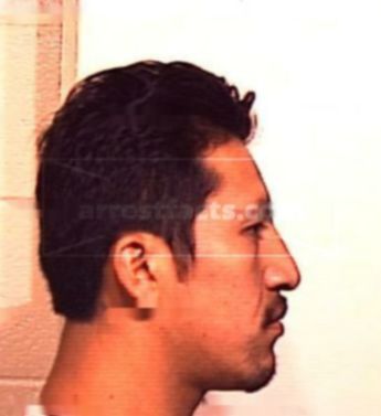 Enrique Morales-Morales