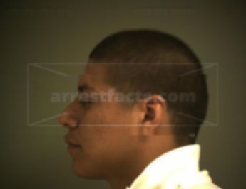 Gustavo Ovidio Flores