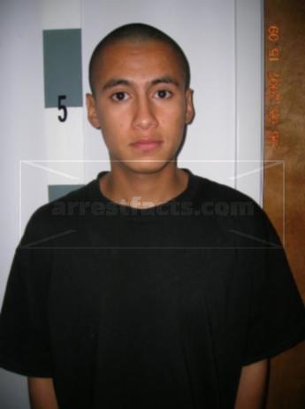 Martin Cerna