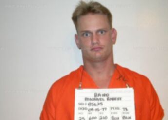 Michael Robert Baird