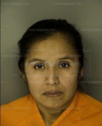 Maria Luisa Martinez-Ortiz