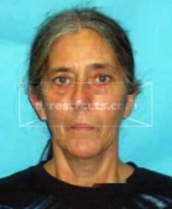 Debra S Cook