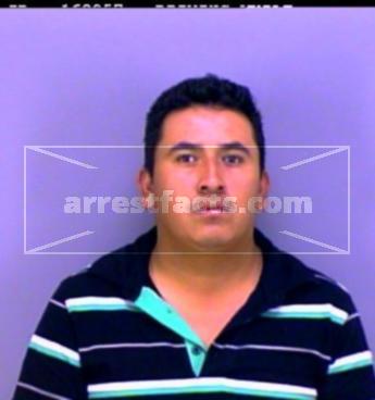 Tomas Gonzalez-Bocanegra
