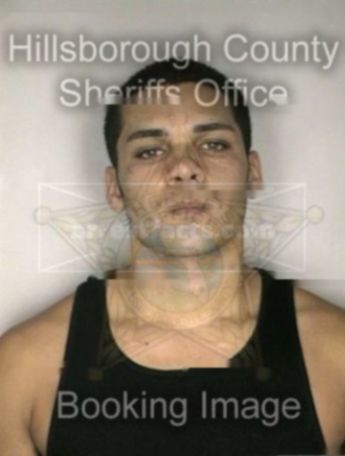 Sebastian Alexander Castillo