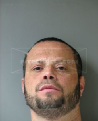 Anthony G Watkins