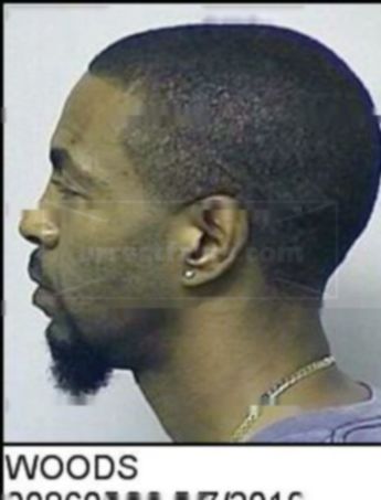 Robin Ray Woods