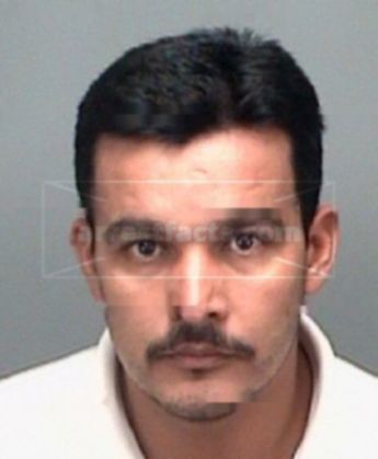 Alvarado R Orlando