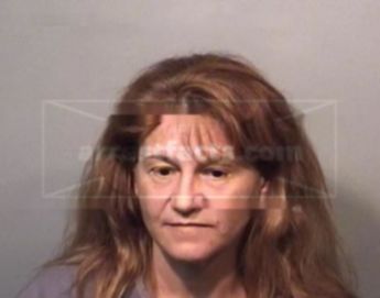 Leslie Anne Searles