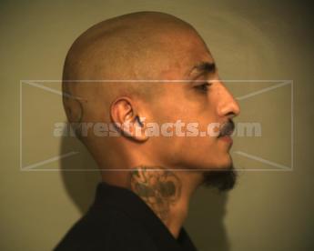 Nicolas Castillo Munoz