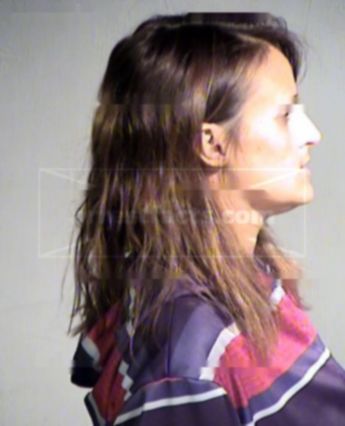 Vanessa Laine Bixler