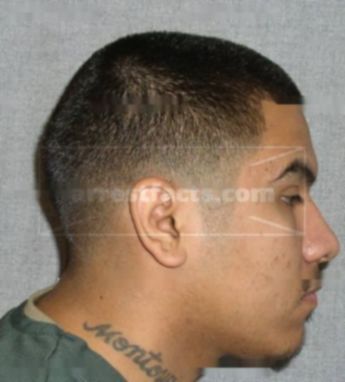 Shane R Montoya