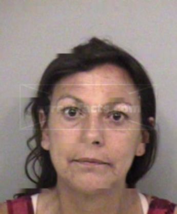 Nicole R Silverstein