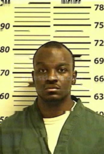 Elijah J Knight