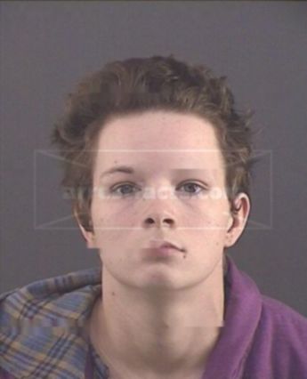 Amanda L Cole