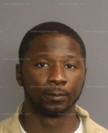 Muquan Bush