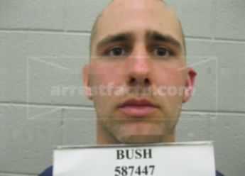 Shawn Allen Bush