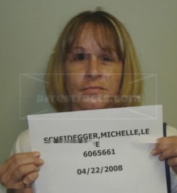 Michelle Lee Scheidegger