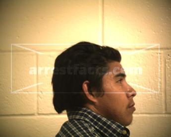 Saul Hernandez Bonilla