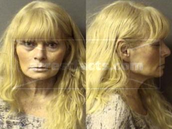 Vicki Jo Shinabarger