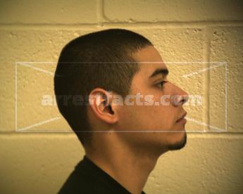 Andrew Villarreal