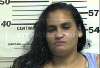 Carol Ann Figueroa