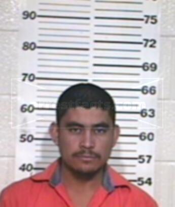Jose Luis Saenz Verdin