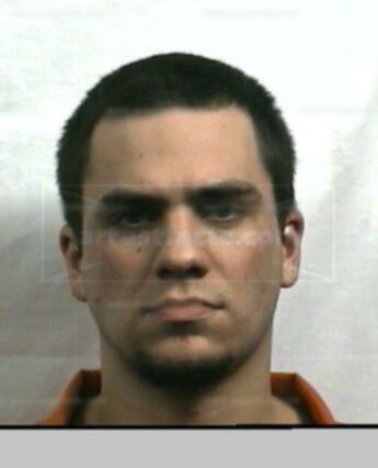 Michael R Crawley