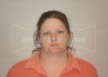 Shannon M Wood
