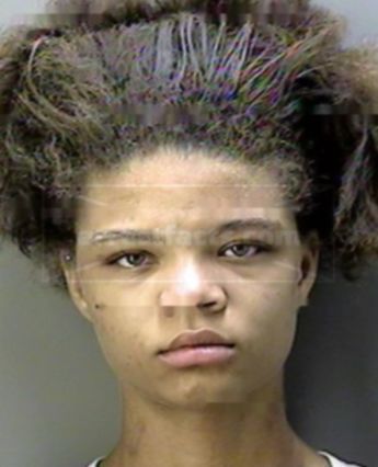 Minnie Lee Gibson