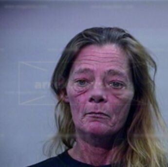 Mary Sue Ellen Zwhar Langley