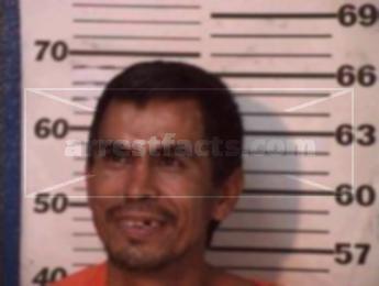 Alfredo Reyna Villalpando