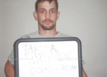 Matthew Jordan Taylor