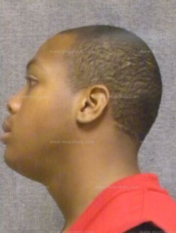 Marcus W Hamilton