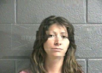 Angela D Springle