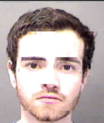 Tyler William Mchugh