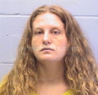 Shannon L. Holzinger